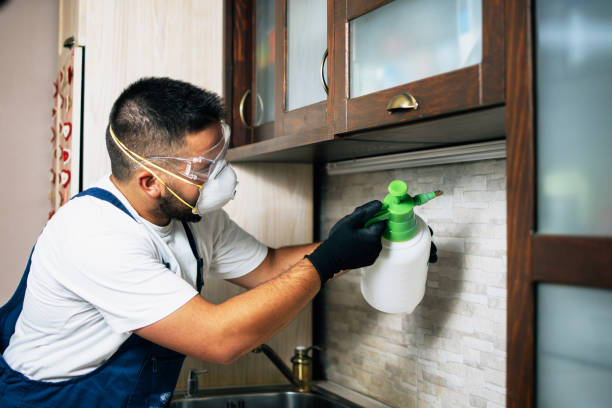 Best Pest Control Near Me  in Schoolcraft, MI