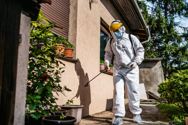Best Cockroach Control Services  in Schoolcraft, MI