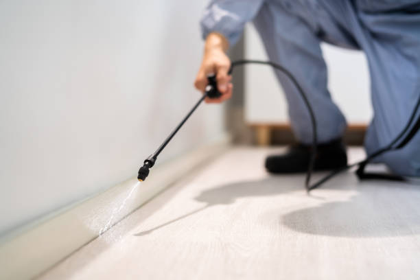 Best Wasp Removal Services  in Schoolcraft, MI