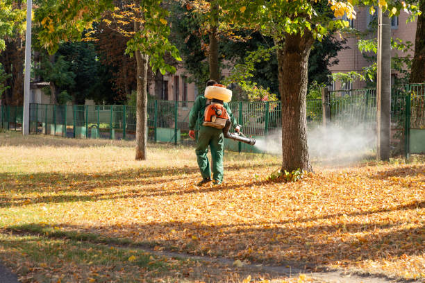 Best Pest Prevention Services  in Schoolcraft, MI