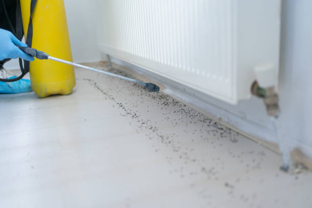 Best Mosquito Control Services  in Schoolcraft, MI
