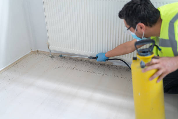Trusted Schoolcraft, MI Pest Control Experts